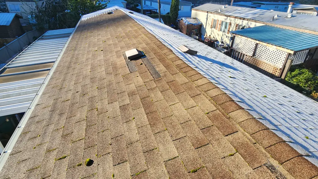 A view along the ridge of a tan-brown asphalt shingle roof shows small moss spots and two slightly different-toned shingle sections. Fraser Roofing