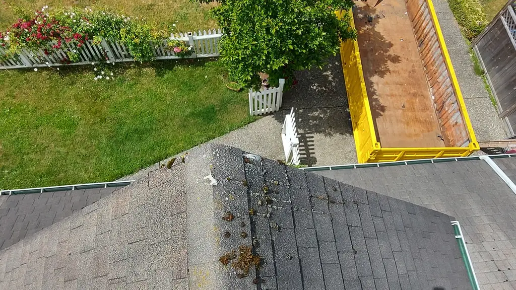 High view from a roof peak, with the photographer's fall-protection rope grab device and boots visible in the foreground. Fraser Roofing