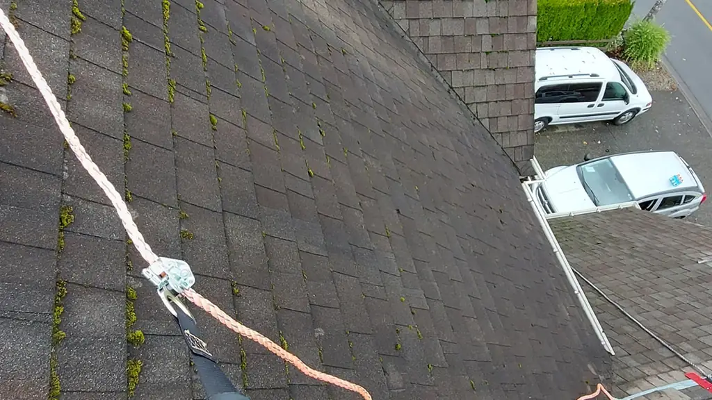 A view down a tan-brown asphalt shingle roof slope (despite the filename, this is not cedar shake) with a light dusting of moss in the shingle seams. Fraser Roofing