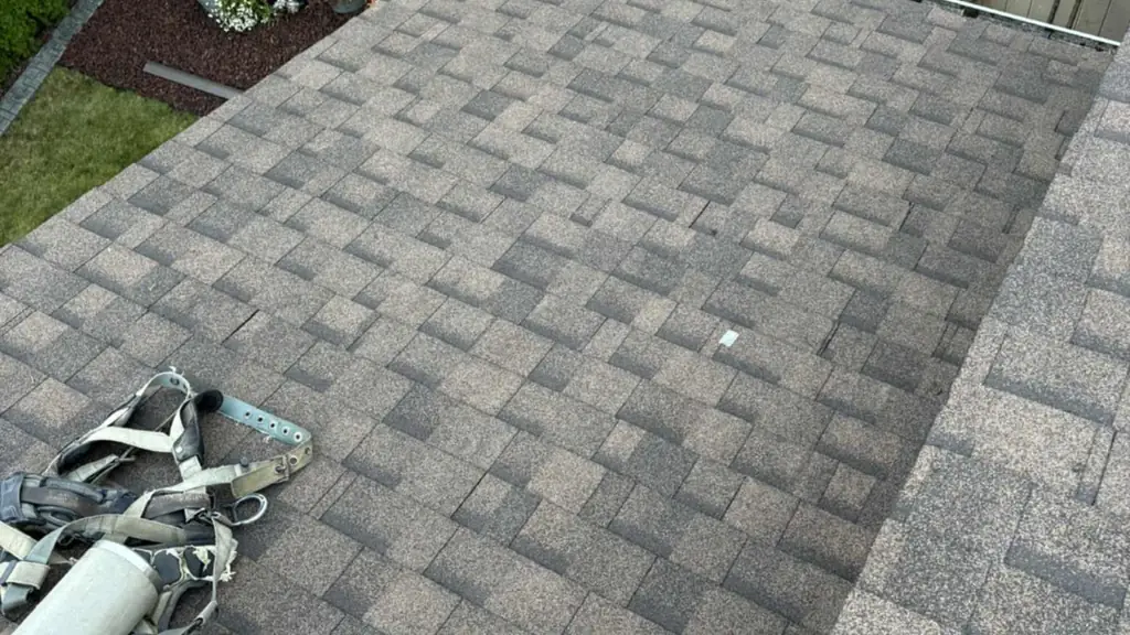 An elevated view looks down on a section of asphalt shingle roof with a safety harness and fall-protection gear lying loose on the shingles. Fraser Roofing