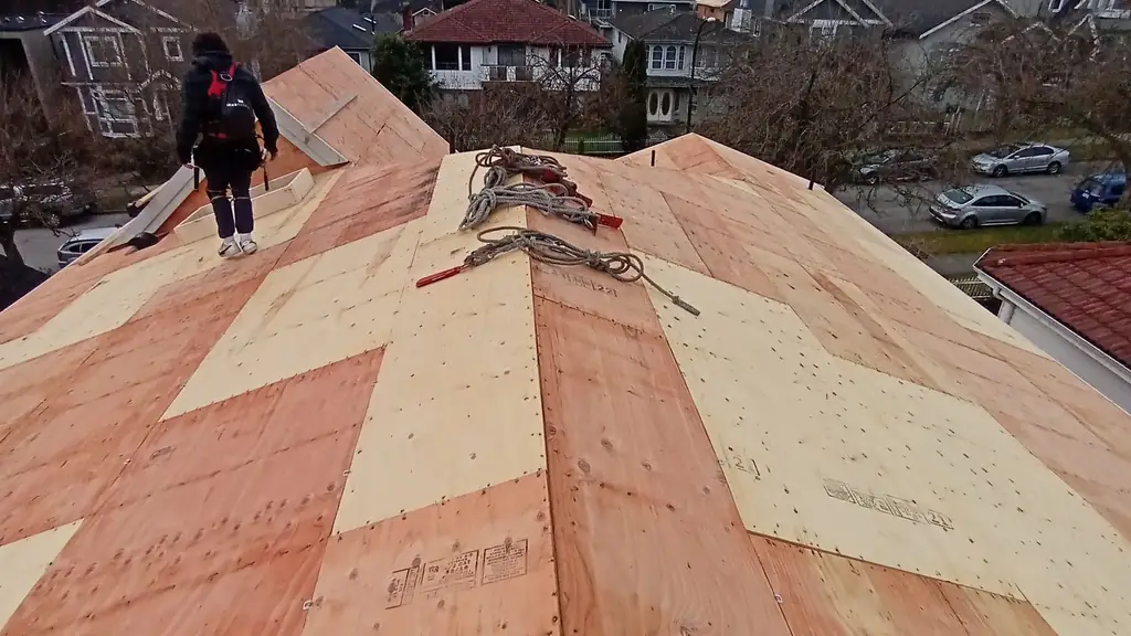 A worker walks across a large hip roof fully decked in new plywood, stamped with grade marks. Fraser Roofing
