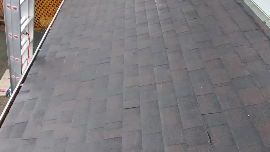 Standing on a pitched dark reddish-brown dimensional shingle roof, not flat as the filename claims. Fraser Roofing