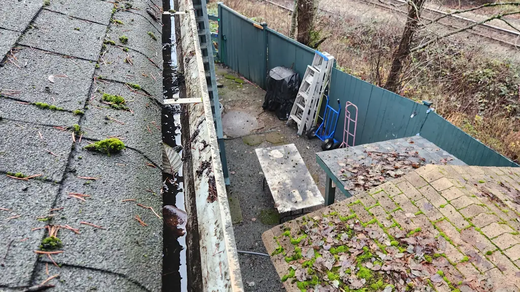 A close view along the edge of a grey asphalt shingle roof and its gutter, which is filled with moss, debris, and water staining. Fraser Roofing