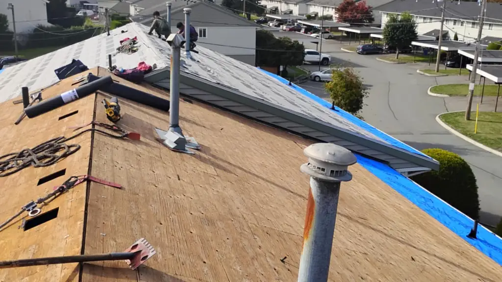 View straight down a roof ridge: the near slope is torn off to bare golden OSB sheathing. Fraser Roofing