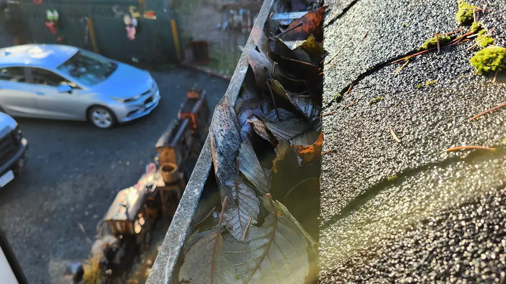 Close view looking down into a gutter clogged with dead leaves along a moss-patched asphalt shingle roof edge. Fraser Roofing