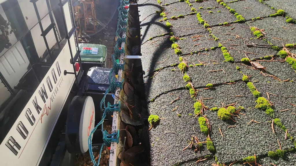 A moss-covered asphalt shingle roof edge sits above a gutter filled with tangled string lights and leaves. Fraser Roofing