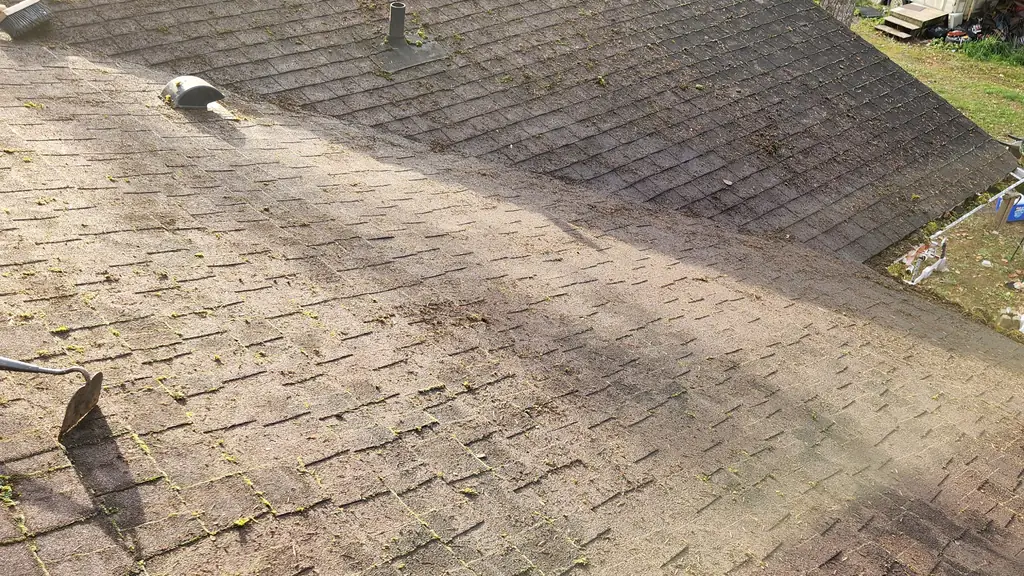 An overhead view of a hip roof corner where one slope has only light moss speckling in shade and the neighbouring slope is much more heavily. Fraser Roofing