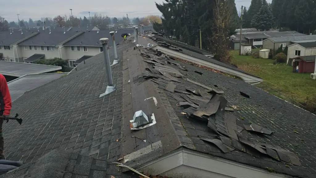 A worker in a red jacket (visible at the left edge, holding a hatchet) stands on a roof mid tear-off, with a long stretch of torn. Fraser Roofing