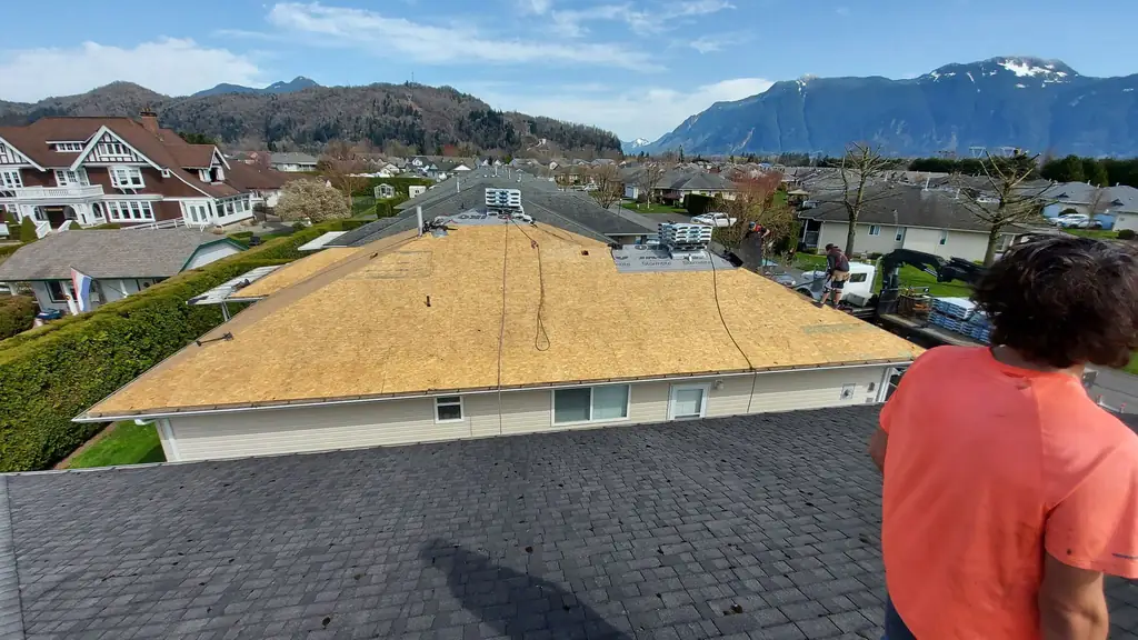 Wide view across a bungalow's roof stripped to OSB decking, with a worker in an orange t-shirt seen from behind/side in the foreground looking out. Fraser Roofing