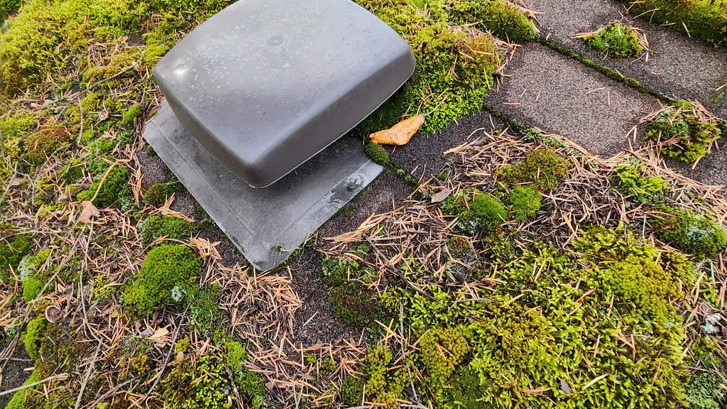 A grey plastic roof vent sits surrounded by thick green moss on an asphalt shingle roof ridge. Fraser Roofing