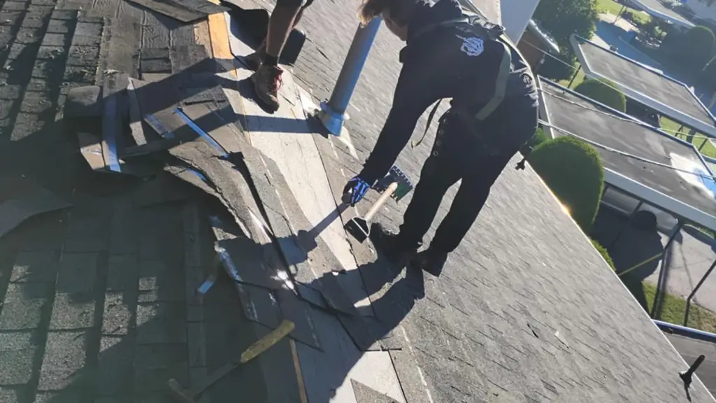 Two young crew members work at a roof eave on a sunny day: one stands eating a snack with a harness. Fraser Roofing