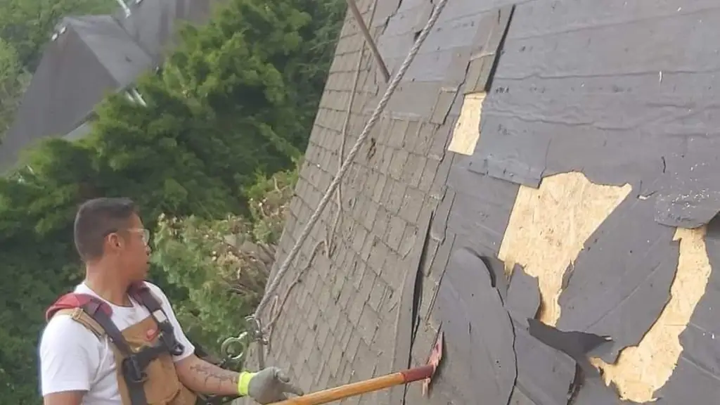 Two workers tear off an old shingle roof on a steep slope: one in the foreground wearing overalls and a harness swings a pry bar/shingle puller. Fraser Roofing