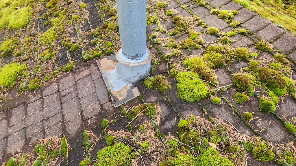 A galvanized metal plumbing vent stack with a rusted pipe joint rises from a roof ridge that is heavily covered in moss. Fraser Roofing