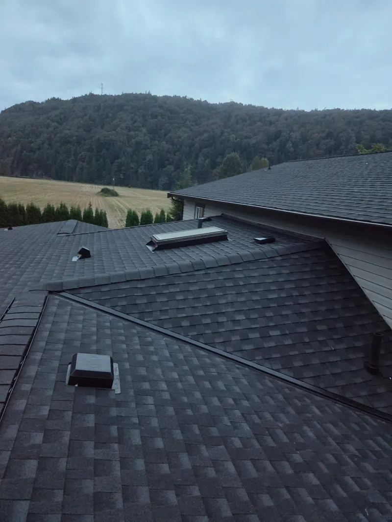 Dark asphalt shingle roof with a skylight, field and hillside behind